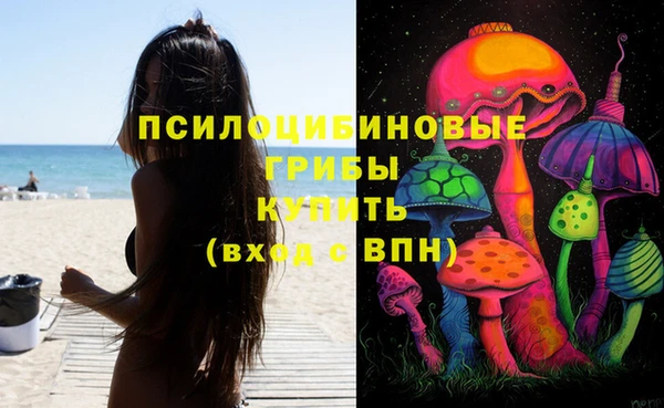 мяу мяу кристалл Горняк